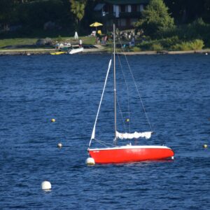 Fibertex Magnum 5.5 -  2017